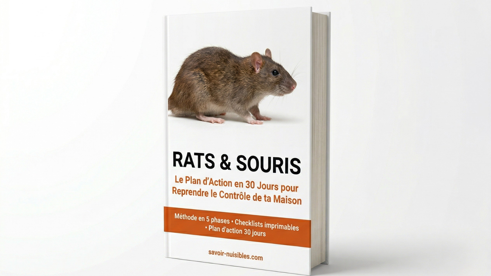 Guide Rats & Souris : Le Plan d'Action en 30 Jours